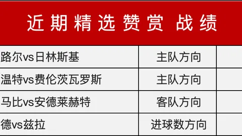 2026篮球盛宴：12强赛8大明星，光纤篮球体验攻略